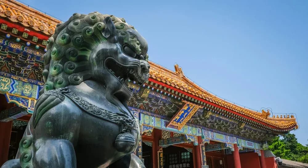 Study in China