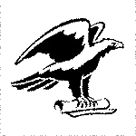 Navitas 9